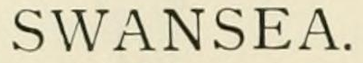 A Swansea mark as engraved in Chaffers 1891